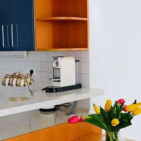 Medusalina-levante * Trogir