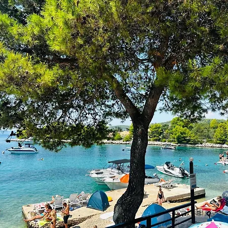 Apartman Medusalina-levante *