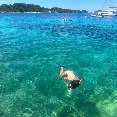 Medusalina-levante Apartman *