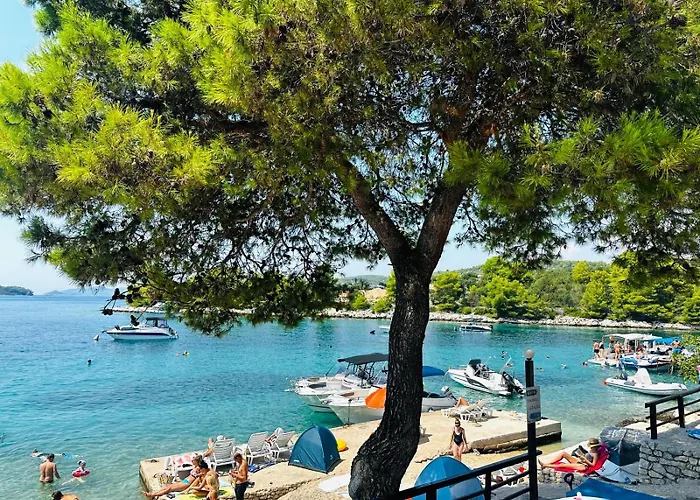 Apartament Medusalina-levante *