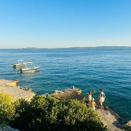 Medusalina-levante *