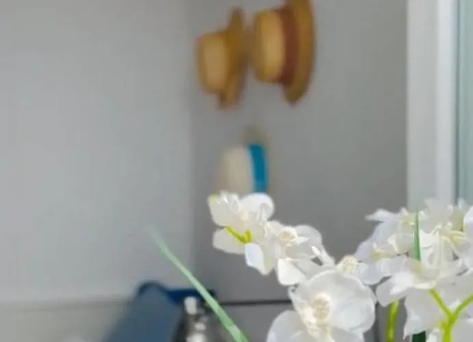 Medusalina-levante *