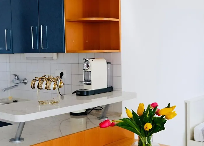 Medusalina-levante * 特罗吉尔