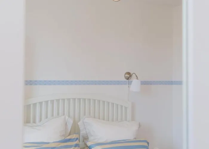 Medusalina-levante *