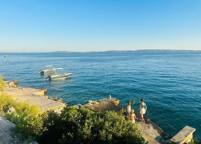 Medusalina-levante *